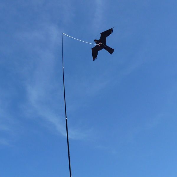 Vogelschreck mit 6m Glasfiberstange und 5m Leine